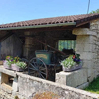 Circuit VTT n°28 (rouge) Val de Buenc - Balmont