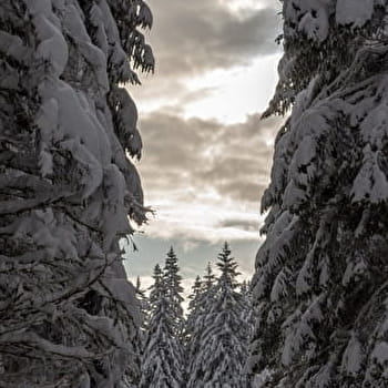 Sentier raquettes de la Faucille au Turet - GEX