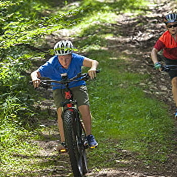 Parcours VTT 29 noir - Tour de Cruchon - Espace FFC Ain Forestière - GIRON