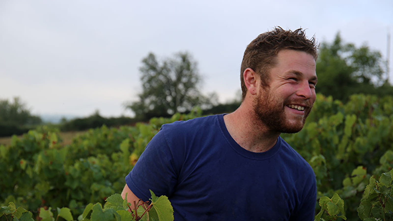 Domaine Joseph Dorbon