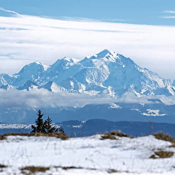 Sentier raquettes de Menthières à la Poutouille - CHEZERY-FORENS