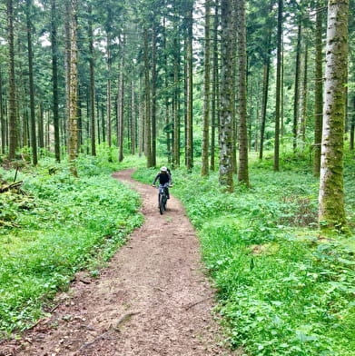 Parcours VTT 54 bleu - Aranc et les Hauts d'Evosges - Espace FFC Ain Forestière
