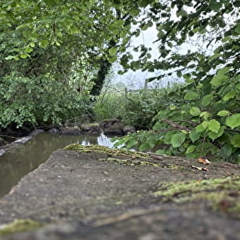 Le petit Martigny - Circuit VTT n°1 - MARTIGNY-LE-COMTE