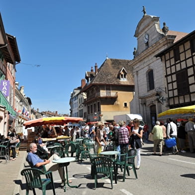 La Voie Bleue® Moselle Saône à Vélo - Etape Fleurville - Pont-de-Vaux - Mâcon