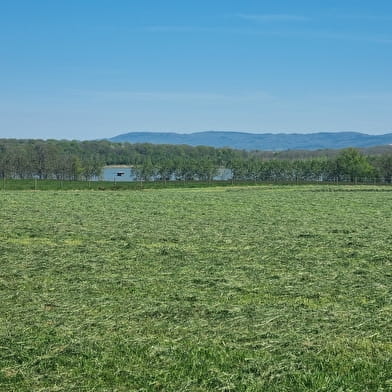 Circuit VTT-VTC n°14 (rouge) - Hauts de la vallée de la Reyssouze