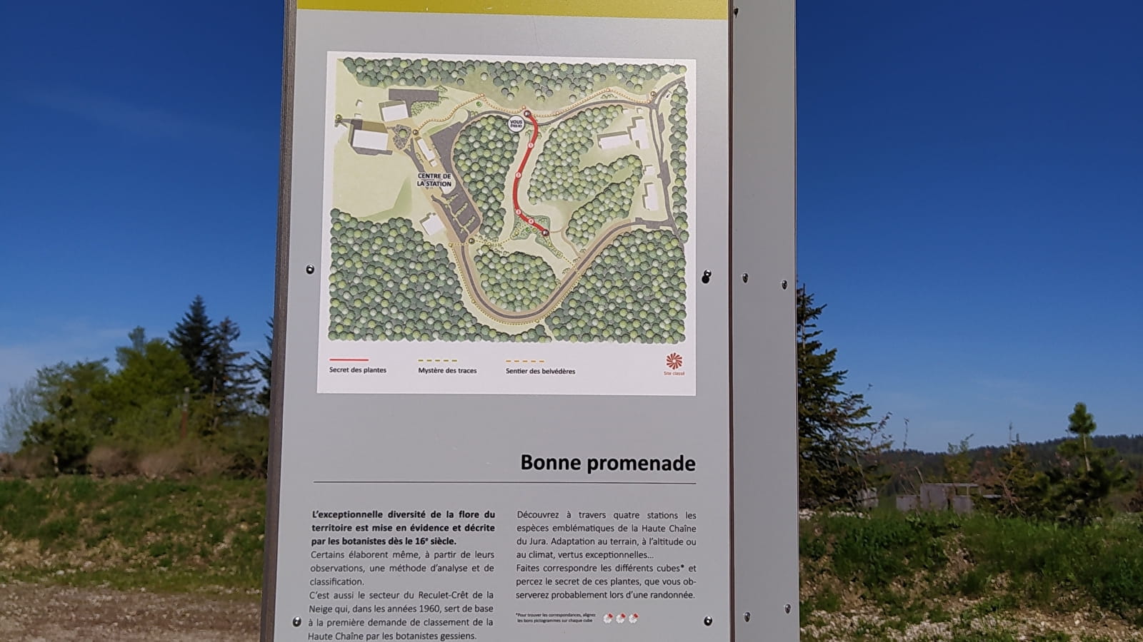 Sentier thématique : secret des plantes