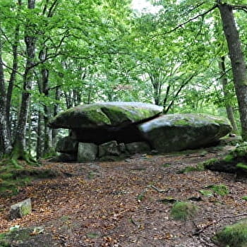 Circuit de randonnée : Boucle du dolmen Chevresse - Saint Brisson