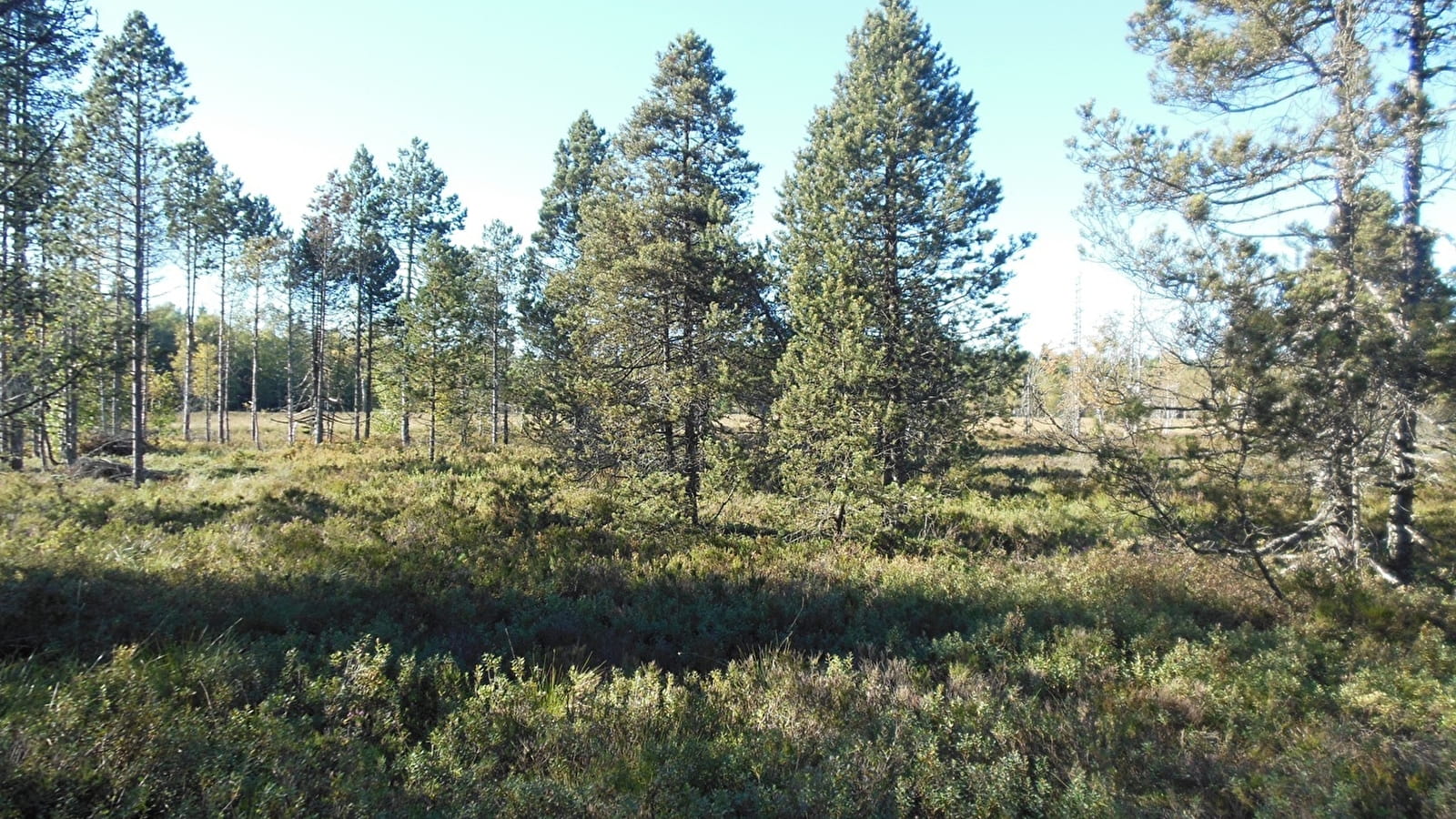 Lac et tourbières Frasne - Bouverans