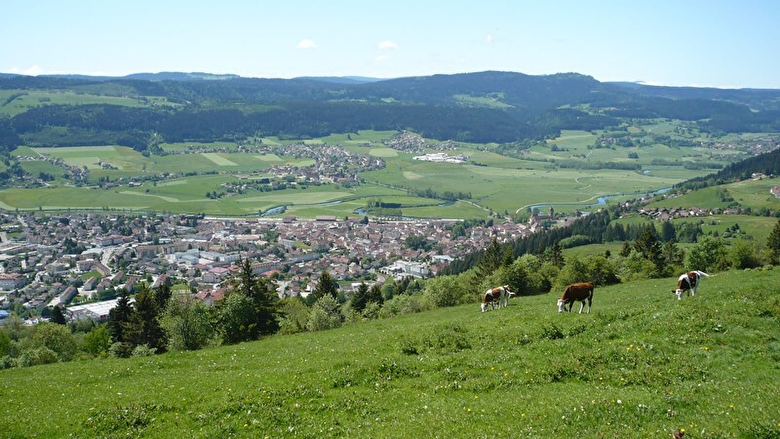 Mont-Vouillot depuis Les Fins