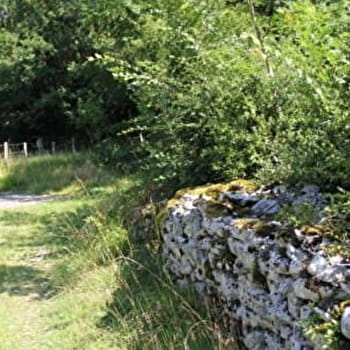 La crête de Montmerle - DROM