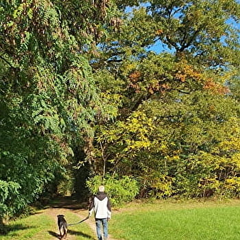 Circuit randonnée : de l'arboretum. - BAGE-DOMMARTIN
