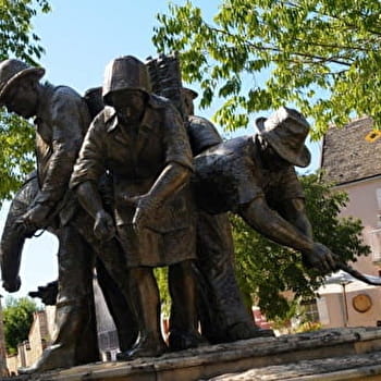Balade en Montrachet - PULIGNY-MONTRACHET