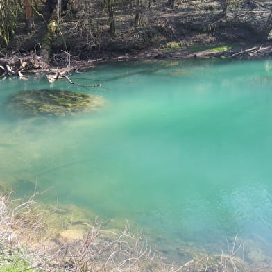 Randonnée - Belvédère du Mont Turgon – Gorges du Suran
