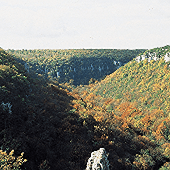 Sentier du Tacot - GEVREY-CHAMBERTIN
