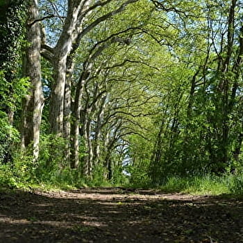 Sentier du réservoir des Pointes - AUXONNE