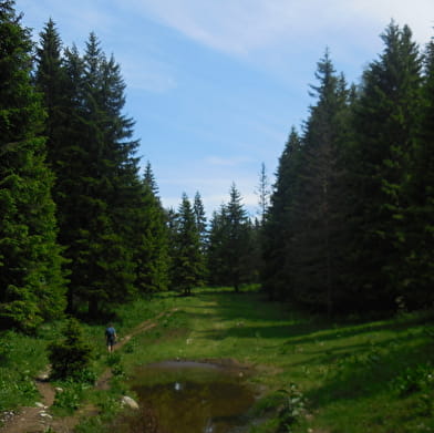 Randonnée pédestre : La Faucille - Le belvédère du Turet