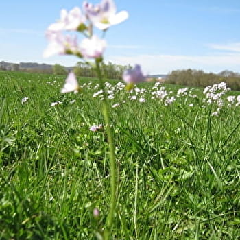 Circuit randonnée: Au fil de l'eau - PONT-DE-VAUX