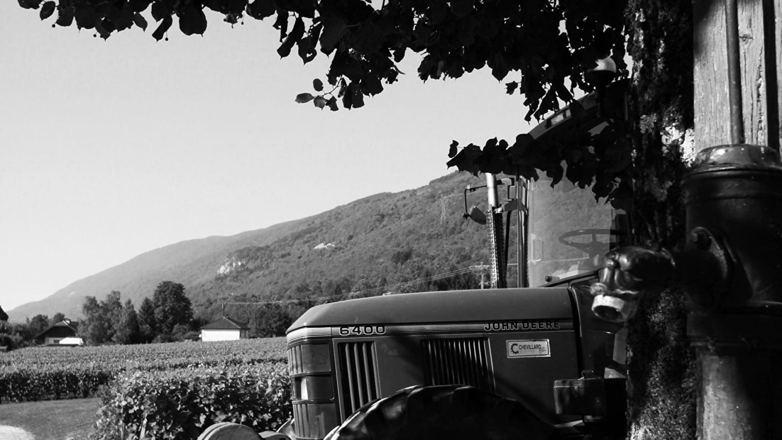 EARL Maison Gallice - Domaine de la Trille