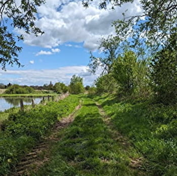 Sentier de la Genévrière - SAINT-MARTIN-EN-BRESSE