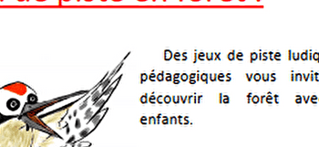 Les Jeux de la forêt - Vic le pic - SAINT-ETIENNE-DU-BOIS