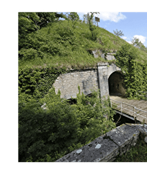 Dame Blanche et Vieux Tilleul - BESANCON