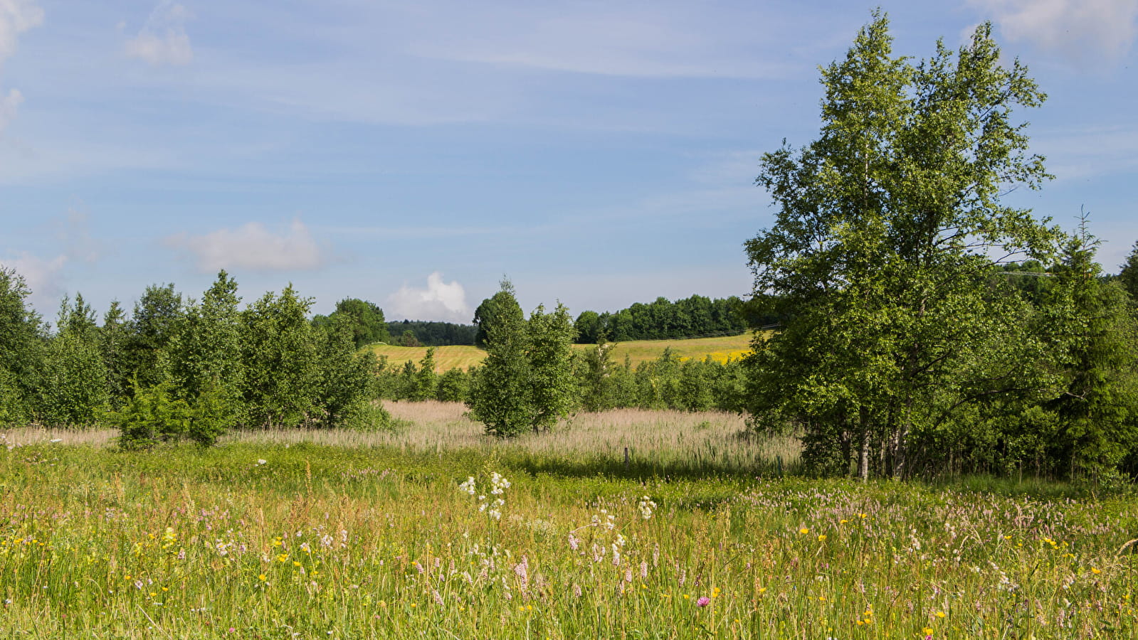 Lac de Fort-du-Plasne