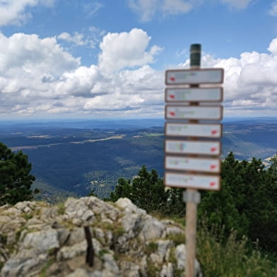 Randonnée pédestre : Catheline - Crêt de la Neige par Brulat Frésy