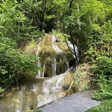 Circuit de randonnée pédestre : La Montagne de Saint-Benoit