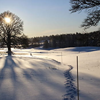Sentier raquettes La Chouette - MIJOUX