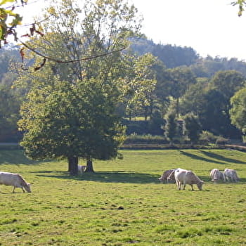 Mussy Le Rouvray - VAUBAN