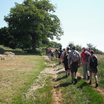 La Balade Marnaysienne - MARNAY