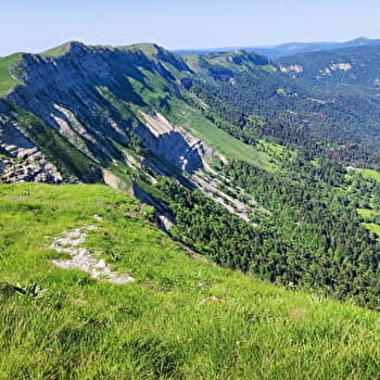 Randonnée pédestre : La Faucille - Colomby de Gex - MIJOUX