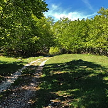 Tour de Pays VTT Bugey - Grand Colombier - Espace FFC Ain Forestière : étape 2 La Praille - Les Plans d'Hotonnes - PLATEAU D'HAUTEVILLE