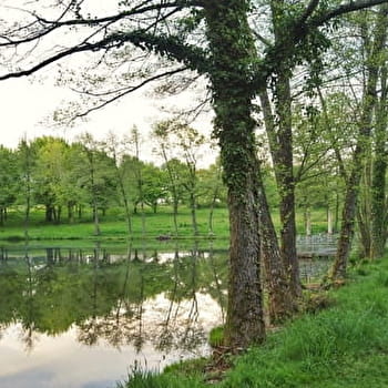 Du moyen-âge à nos jours - BLANZY