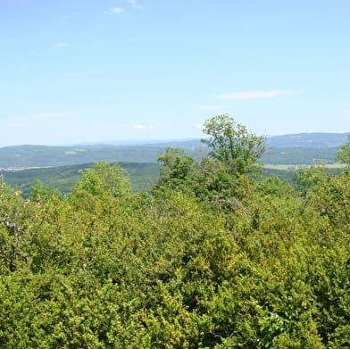 Randonnée - Les Conches, la sainte colline du Revermont