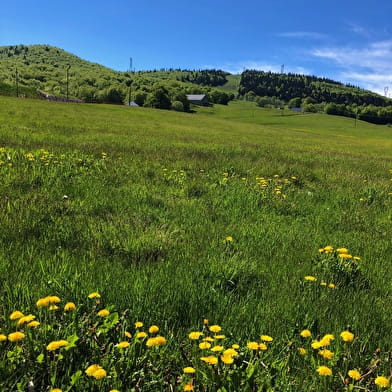 Parcours VTT 13 rouge - Le sud du Plateau de Retord - Espace FFC Ain Forestière