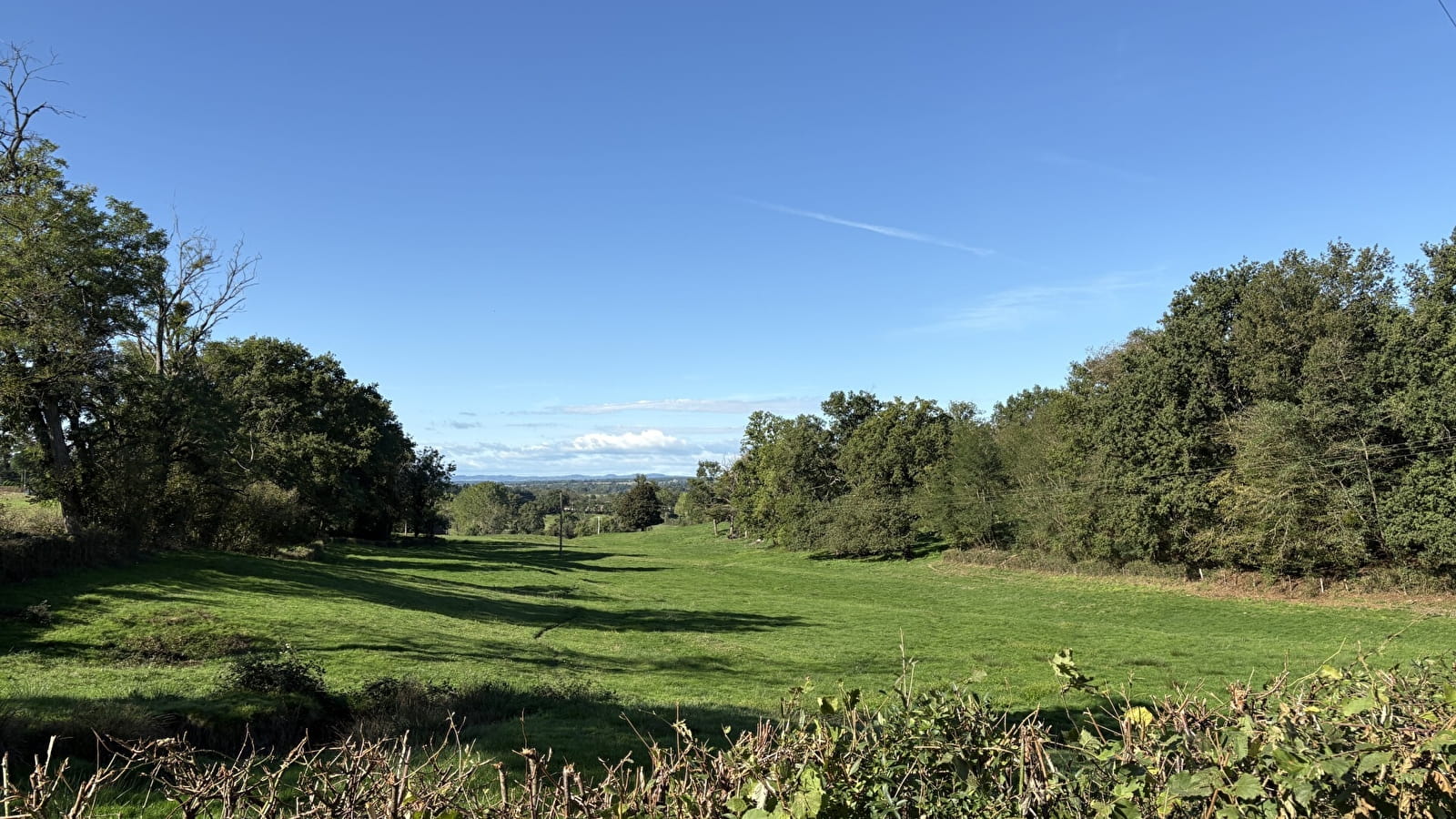 Balade Verte - Balade entre prairie, forêt et rivière (VSG 2)