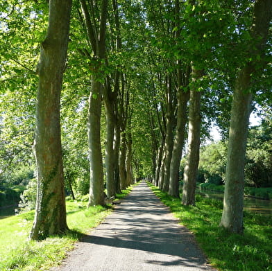 La Voie Bleue® Moselle Saône à vélo - Etape Tournus - Fleurville - Pont-de-Vaux