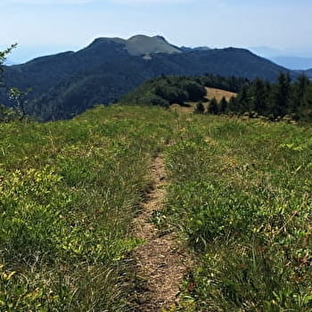 Parcours trail sur les crêtes d'Hergues - ARVIERE-EN-VALROMEY