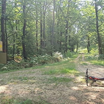 Liaison Gravel entre Bresse et Revermont - MONTREVEL-EN-BRESSE