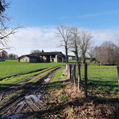 Randonnée - Sur les chemins de St Sulpice et St Didier d'Aussiat