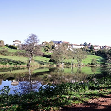 Itinéraire VTT : circuit 22 rouge, base Belmont-de-la-Loire