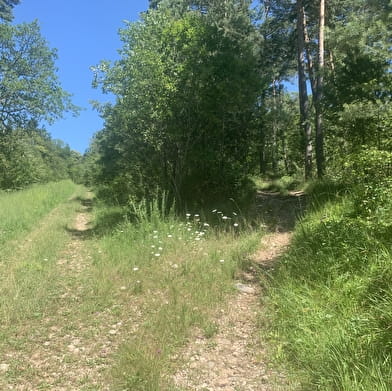 Randonnée - Le sentier du bois de Ban