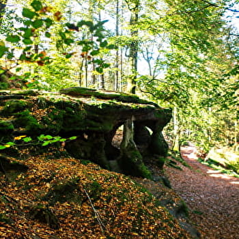 Le Loup Garou - 105R - MOISSEY