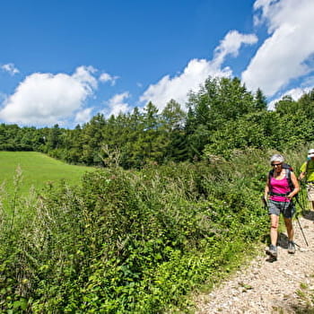 Randonnée - Le Belvédère de Sérémond - PLATEAU D'HAUTEVILLE