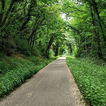 Circuit du Bois des Cantons - MONTBELIARD