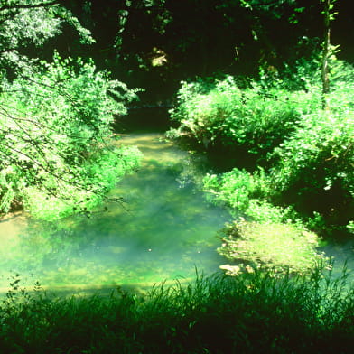 Balade - Verjon et Salavre, deux villages du Revermont