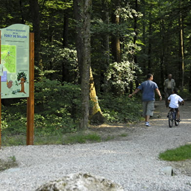 Sentier de découverte en famille dans la Forêt de Seillon