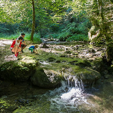 Balade - La Sarsouille