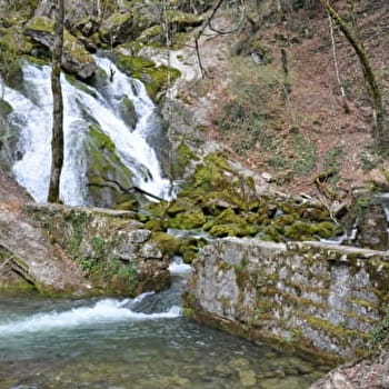 Promenade des Sources de l'Allondon - ECHENEVEX